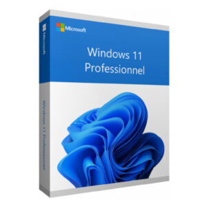 windows 11 pro