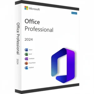 office2024 professional